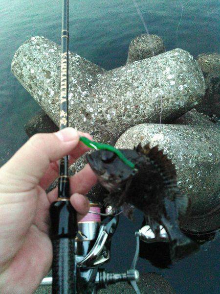 すんのかい!すんのかい!すんのかい!の巻